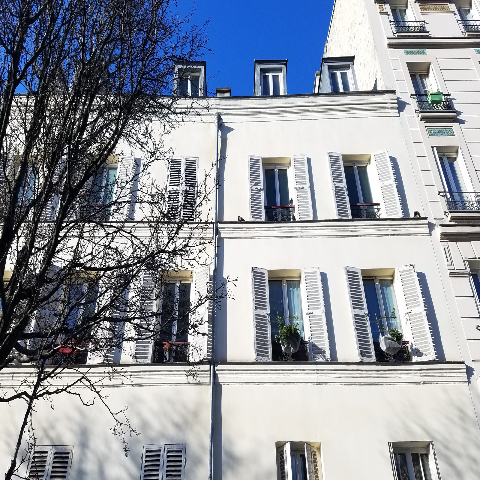 Image_1, Appartement, Paris, ref :L170003484